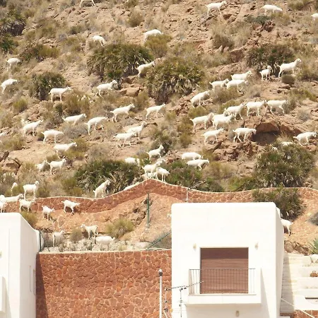 La Loma Holiday home San Jose (Almeria)
